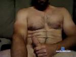 wellhung9372 chaturbate profile picture