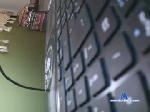 wildblonde_ chaturbate profile picture