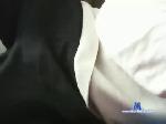 willy1222 chaturbate profile picture