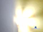 witeb0i chaturbate profile picture