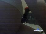 wizardofinit65 chaturbate profile picture