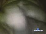 ynot333666333 chaturbate profile picture