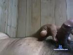 yogui41 chaturbate profile picture