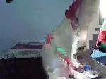 zenda_152 chaturbate profile picture