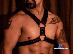marco-mastronelli flirt4free livecam show performer MAN IN BRIEFS AND WORKER BOOTS