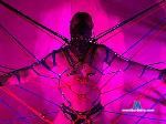 wolf-payne flirt4free livecam show performer tygersslave at your service