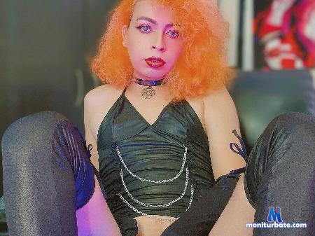 angell-cat flirt4free performer happiness