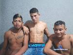 carlos-and-daniel-and-alan flirt4free livecam show performer Three manly brunettes who you think likes to have their ass busted