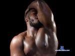 romeo-royce flirt4free livecam show performer I like rough sex