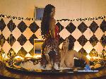 stormy-and-mia flirt4free livecam show performer Enjoy each moment !