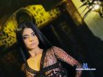 stephania-b flirt4free livecam show performer work hard.