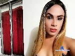 fernanda-ferrer flirt4free livecam show performer hello boys welcome I am a hot girl I like to please them with pleasure with my great pussy for you