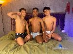 alisson-and-leo-and-dalessandro flirt4free livecam show performer Three spicy latino guys ready to blow your mind and please you
