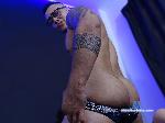 paul-bollocco flirt4free livecam show performer Do you want enjoy ur time with a muscle guy? try me