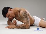 noah-lead flirt4free livecam show performer FANTASY ​IS ​SOMETIMES ​BETTER ​THAN ​REALITY.