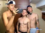 bernie-and-daniel-and-jeyco flirt4free livecam show performer Hot boy 