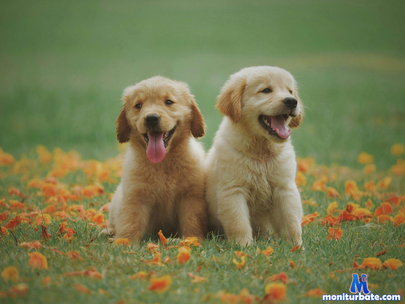 mika-test Flirt4free performer 