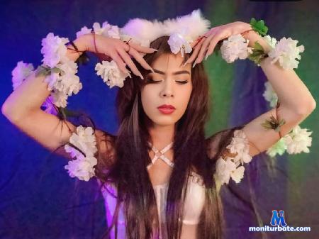 franny-wolf flirt4free performer #trans #cum #ass #latina #Blowjob