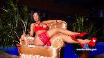 AmandaConte livejasmin performer profile picture