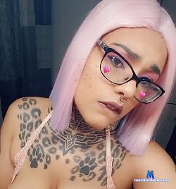 creamfilleddessert stripchat livecam performer profile