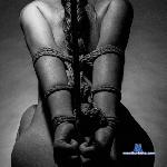 pamell_se stripchat livecam show performer room profile