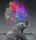 Mayapossh stripchat livecam show performer room profile