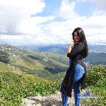 sexycandymilf_ stripchat livecam show performer room profile