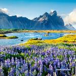 bettyboop_sexx stripchat livecam show performer room profile