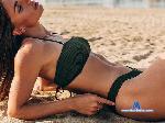 Golden_Fox_ stripchat livecam show performer room profile