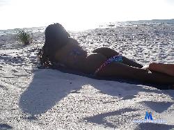 pussylou01 stripchat livecam performer profile