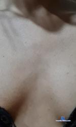 Shreyakitten0 stripchat livecam show performer room profile