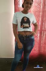 amber_rosse_ stripchat livecam show performer room profile