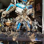 LolaSkyler stripchat livecam show performer room profile