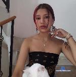 sophiabrown8 stripchat livecam show performer room profile