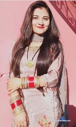 Areema_Honey stripchat livecam show performer room profile