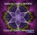 pandoralion stripchat livecam show performer room profile