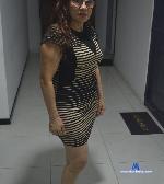 Seleny_teheran stripchat livecam show performer room profile