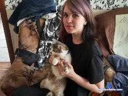 lazy_tanuki stripchat livecam performer profile