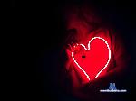 olivka_slivka stripchat livecam show performer room profile