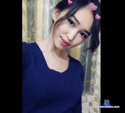 LightNovel stripchat livecam performer profile