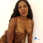 PETITE_HORNY stripchat livecam show performer room profile