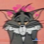 sexy_kiim stripchat livecam show performer room profile