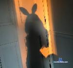 luna_sweett stripchat livecam show performer room profile