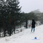 elena_yg stripchat livecam show performer room profile