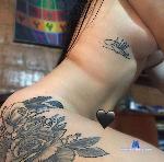 hannyafh stripchat livecam show performer room profile