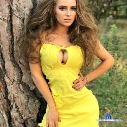 AliceAddington stripchat livecam performer profile