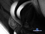 StervohkaQh stripchat livecam show performer room profile