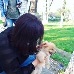 adali_kim stripchat livecam show performer room profile