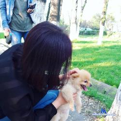 adali_kim stripchat livecam performer profile