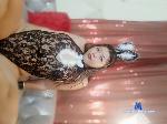 beautty_chubby_ stripchat livecam show performer room profile